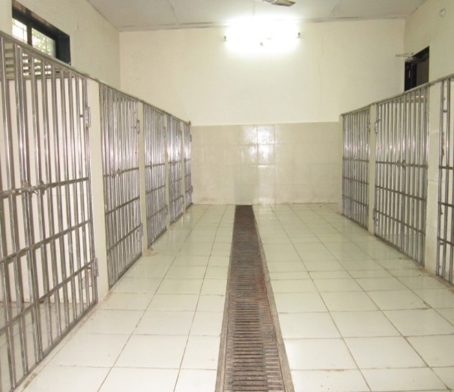 Canine Facility